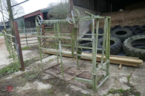 GALVANISED FOOT TRIMMING CRUSH