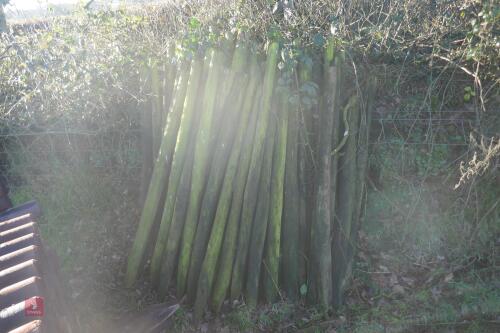 APPROX 50 FENCING STAKES