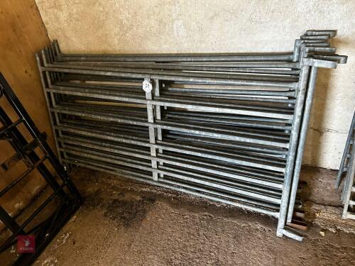 8 X 6' GALVANISED HURDLES (79)