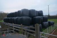 50 ROUND BALES OF 2023 ORGANIC SILAGE - 2