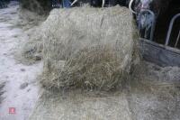 50 ROUND BALES OF 2023 ORGANIC SILAGE - 4