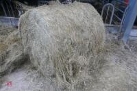50 ROUND BALES OF 2023 ORGANIC SILAGE - 5