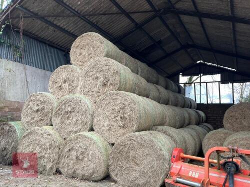 100 LARGE BALES OF MEADOW HAY