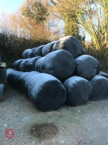 50 BALES OF 2023 HAYLAGE (BIDS PER BALE)