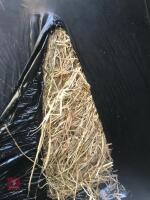 50 BALES OF 2023 HAYLAGE (BIDS PER BALE) - 2