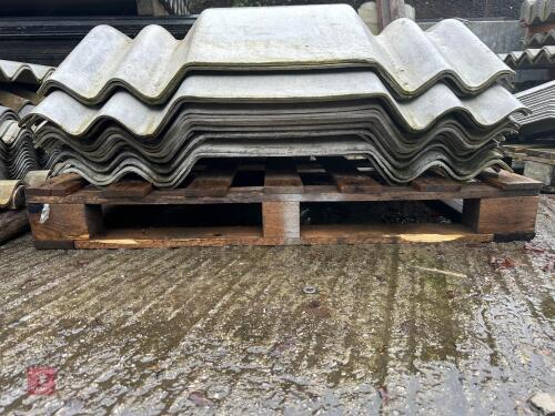 SELECTION OF OPEN RIDGES