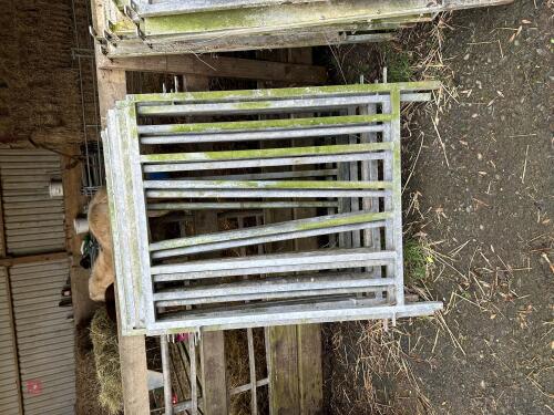 SET OF 8 CALF PENS