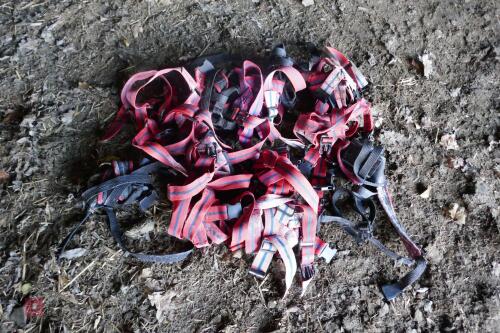12 RAM CRAYON HARNESSES