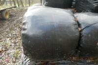 20 ROUND BALES OF 2023 SILAGE - 3