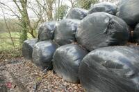 20 ROUND BALES OF 2023 SILAGE - 3