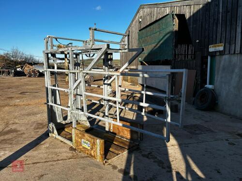 IAE DAIRYMASTER FOOT TRIMMING CRUSH