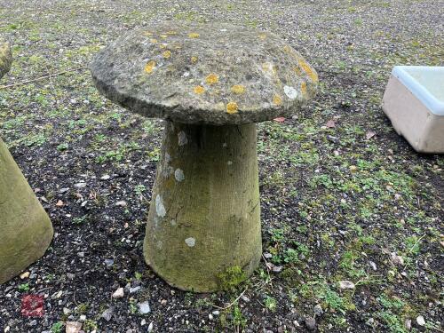 SANDSTONE STADDLESTONE (5)