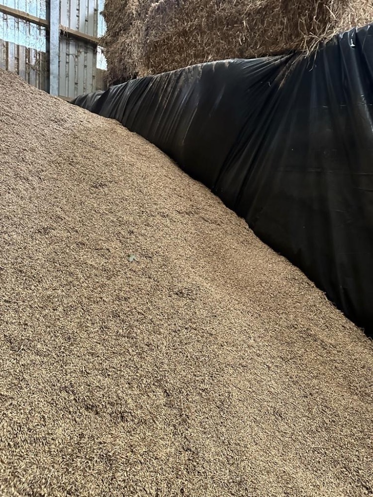1T OF BULK SPRING OATS