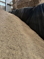 1T OF BULK SPRING OATS