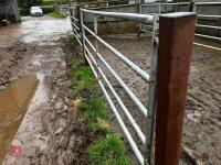 12' HD GALVANISED YARD GATE - 5