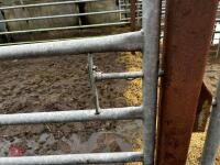 11' HD GALVANISED YARD GATE - 4