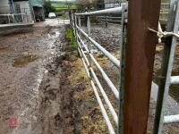 13' HD GALVANISED YARD GATE - 4