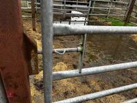 13' HD GALVANISED YARD GATE - 6