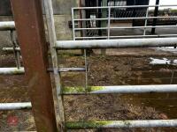 13' HD GALVANISED YARD GATE - 2