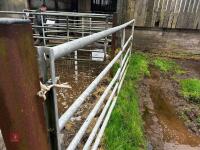 11' HD GALVANISED YARD GATE - 2