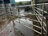 10' GALVANISED YARD GATE - 3