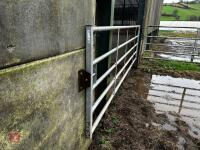 14' IAE GALVANISED YARD GATE - 4