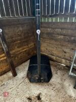 LIFETIME FREESTANDING BASKETBALL HOOP - 3