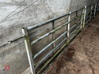 10' HD GALVANISED YARD GATE - 4