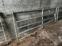 10' HD GALVANISED YARD GATE - 2