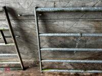 10' HD GALVANISED YARD GATE - 3