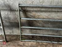 10' HD GALVANISED YARD GATE - 2