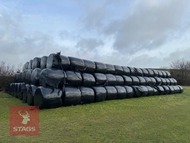 38 ROUND BALES OF HAYLAGE