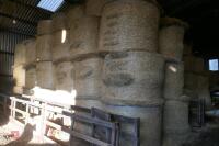 100 ROUND BALES OF HAY (BIDS PER BALE) - 3