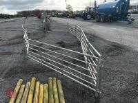 BATEMAN SHEEP HANDLING SYSTEM - 3