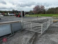 BATEMAN SHEEP HANDLING SYSTEM - 4