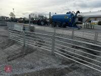 BATEMAN SHEEP HANDLING SYSTEM - 5
