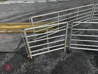 BATEMAN SHEEP HANDLING SYSTEM - 6