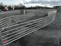 BATEMAN SHEEP HANDLING SYSTEM - 7