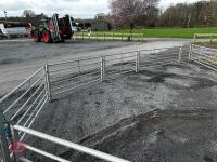 BATEMAN SHEEP HANDLING SYSTEM - 11