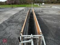 BATEMAN SHEEP HANDLING SYSTEM - 12