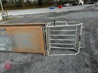 BATEMAN SHEEP HANDLING SYSTEM - 16