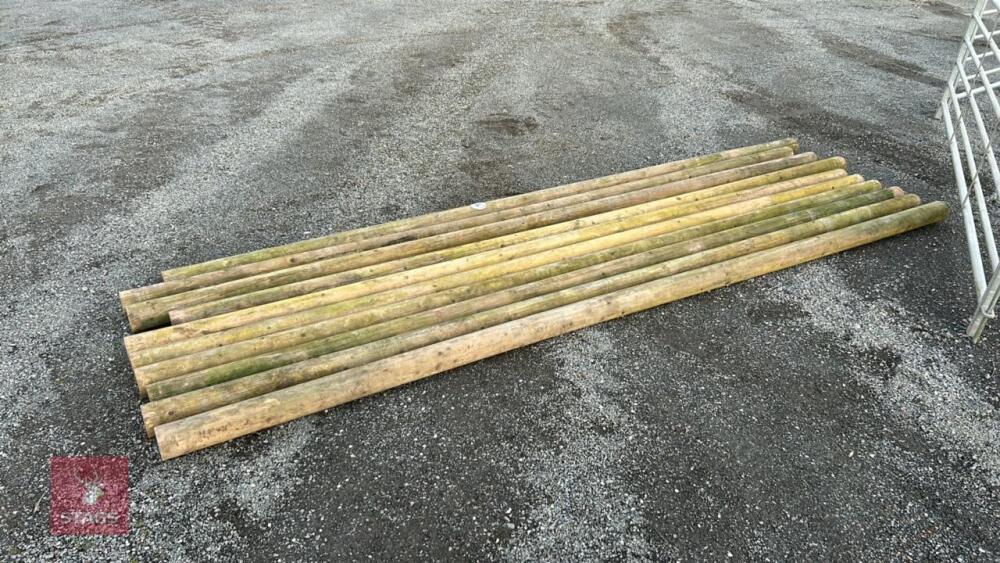 10 X 12' WOODEN POLES