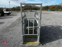 RITCHIE GALVANISED CATTLE CRUSH - 6