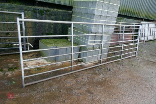 IAE 13' GALVANISED FIELD GATE