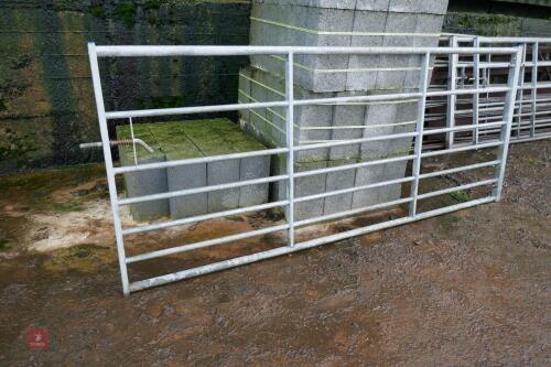 IAE 9' GALVANISED YARD GATE
