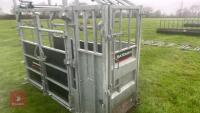 BATEMAN AMBASSADOR GALV CATTLE CRUSH - 12