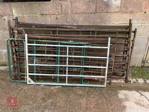 8 MIXED HURDLES