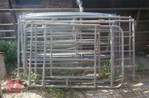 8 CATTLE RACE SECTIONS & 2 GATES