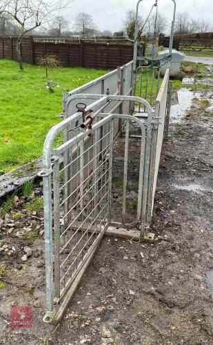 GALVANISED RITCHIE SHEEP RACE