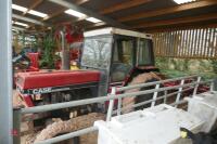 CASE INTERNATIONAL 685 2WD TRACTOR - 4